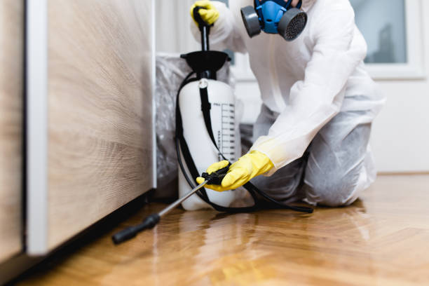 Best Local Pest Control Services  in Jasper, AL