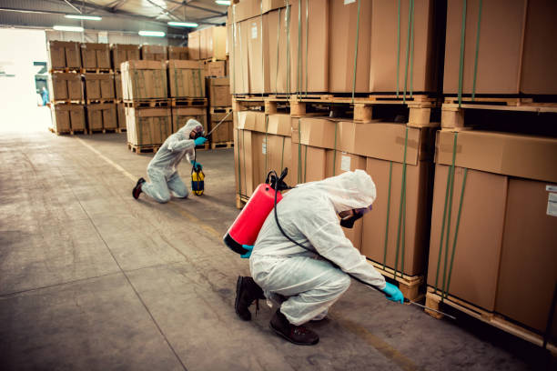 Best Mosquito Control Services  in Jasper, AL