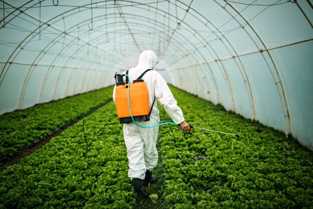 Best Pest Removal Services  in Jasper, AL