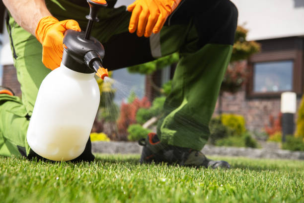 Best Termite Control Services  in Jasper, AL
