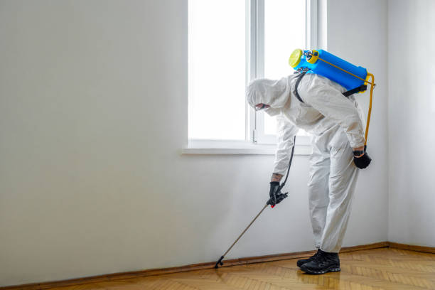 Flea Control Services in Jasper, AL