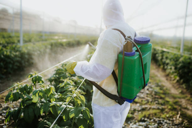 Best Pest Prevention Services  in Jasper, AL